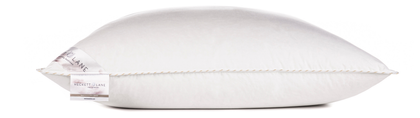Heckettlane Hoofdkussens Anti-allergeen Platinum